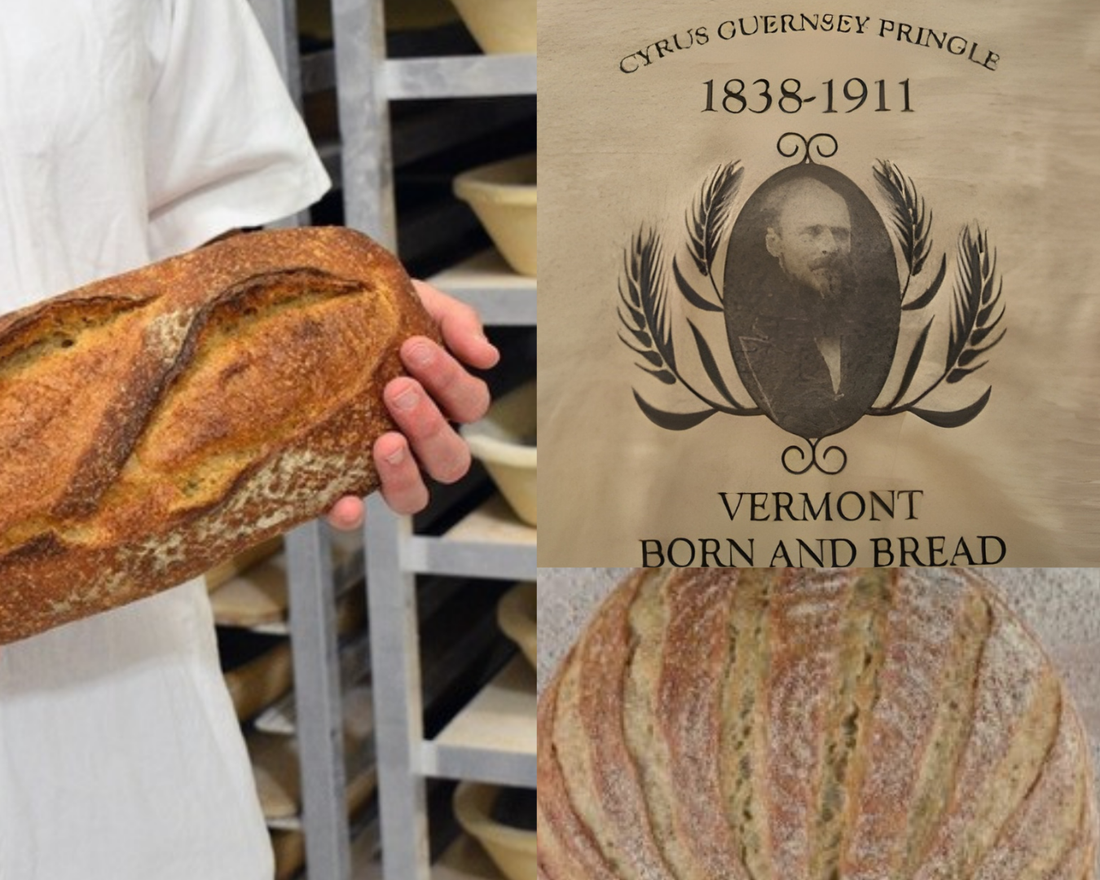 The origins and evolution of our Cyrus Pringle bread