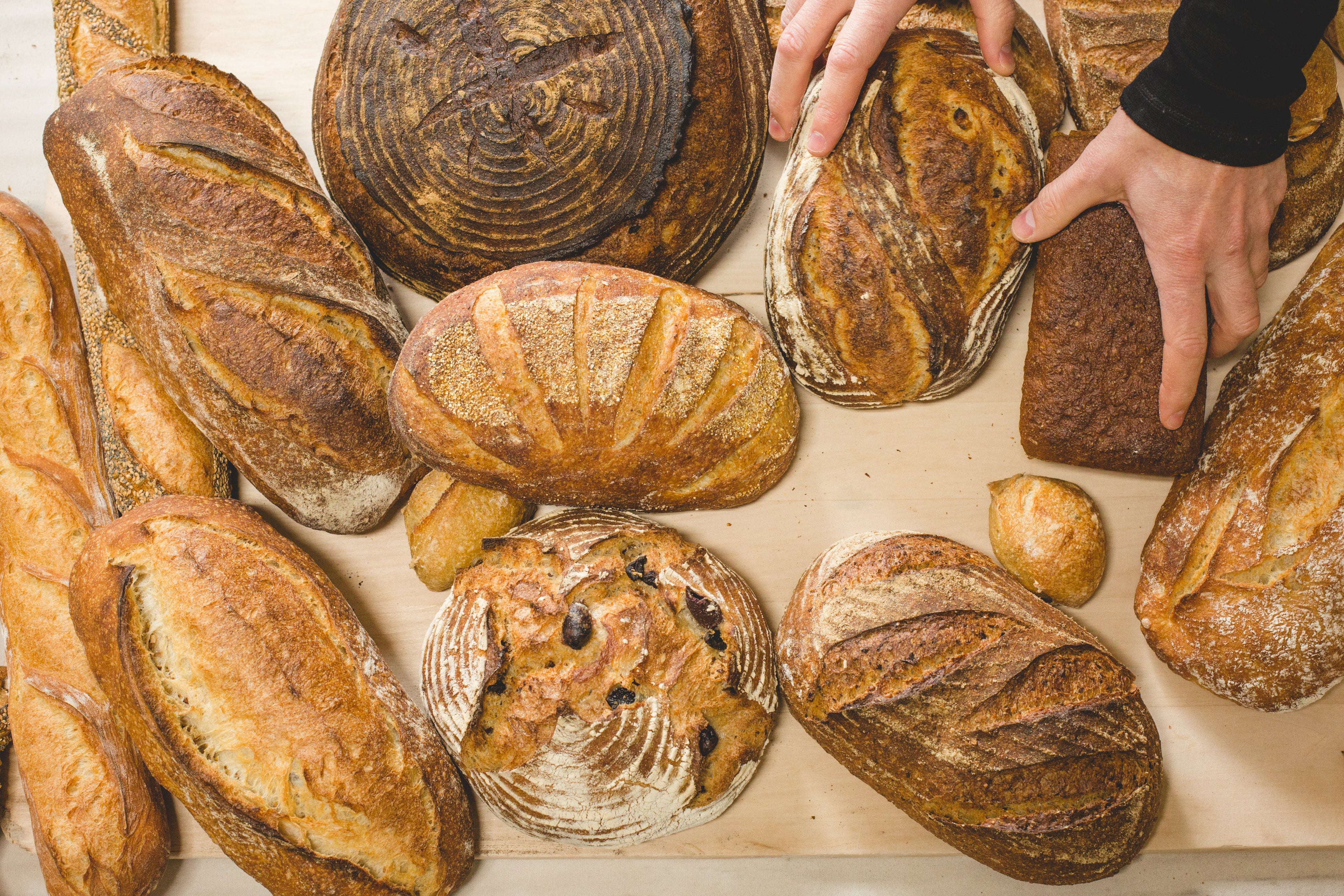 Bread