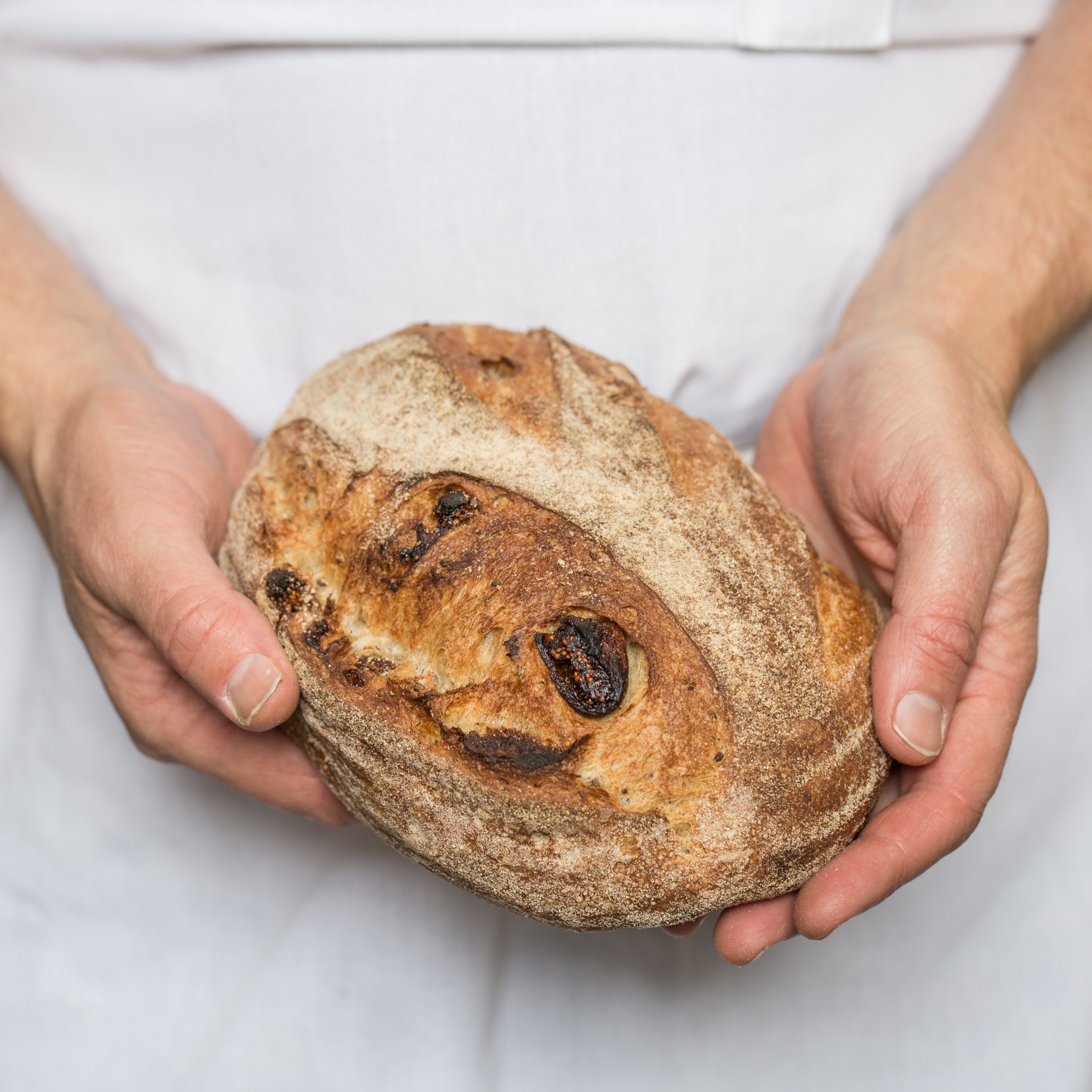Fig Anise Loaf