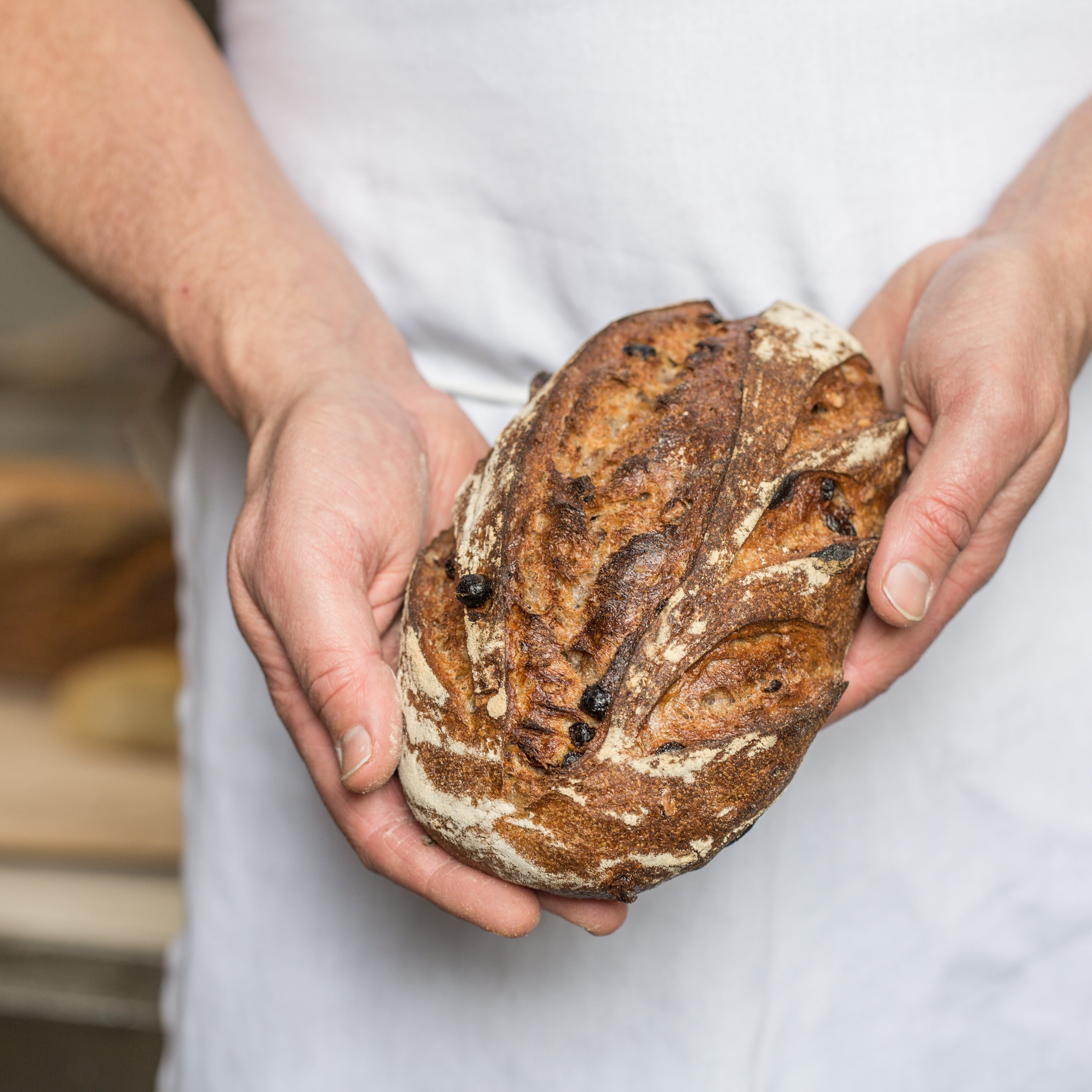 Raisin Walnut Loaf