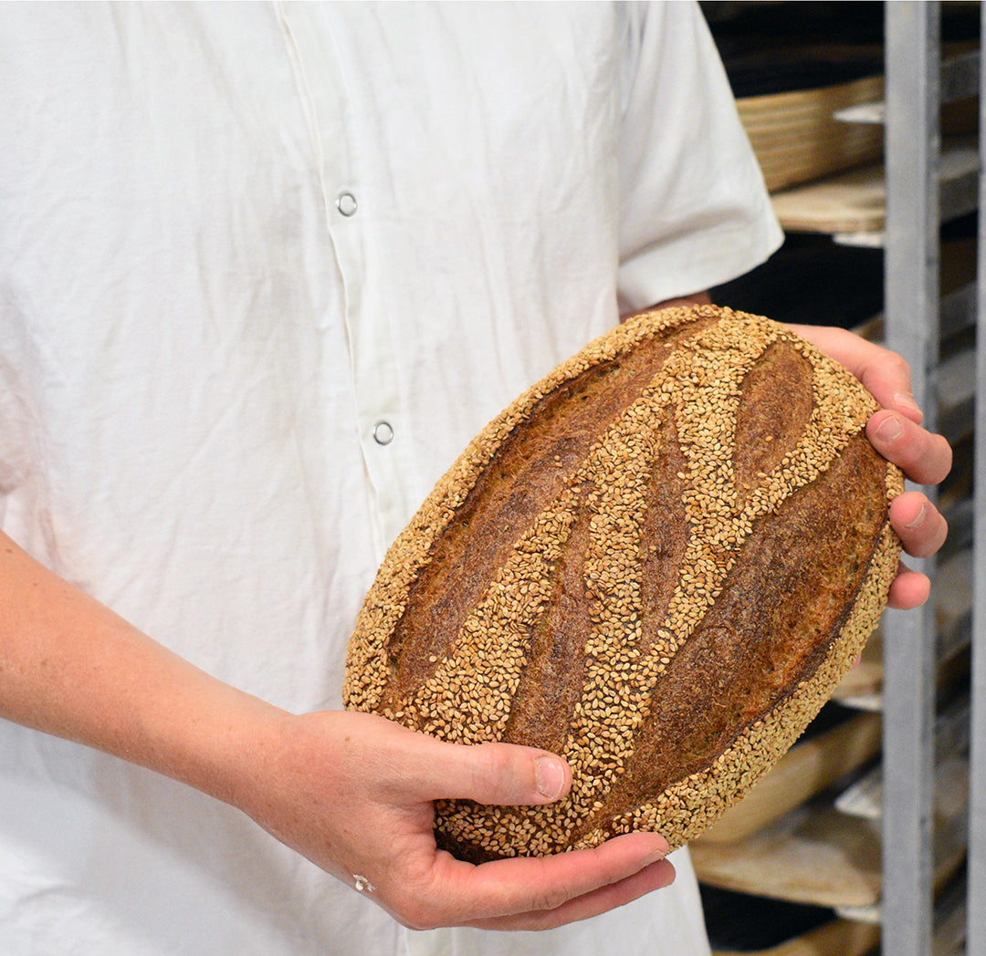 Sesame Whole Wheat