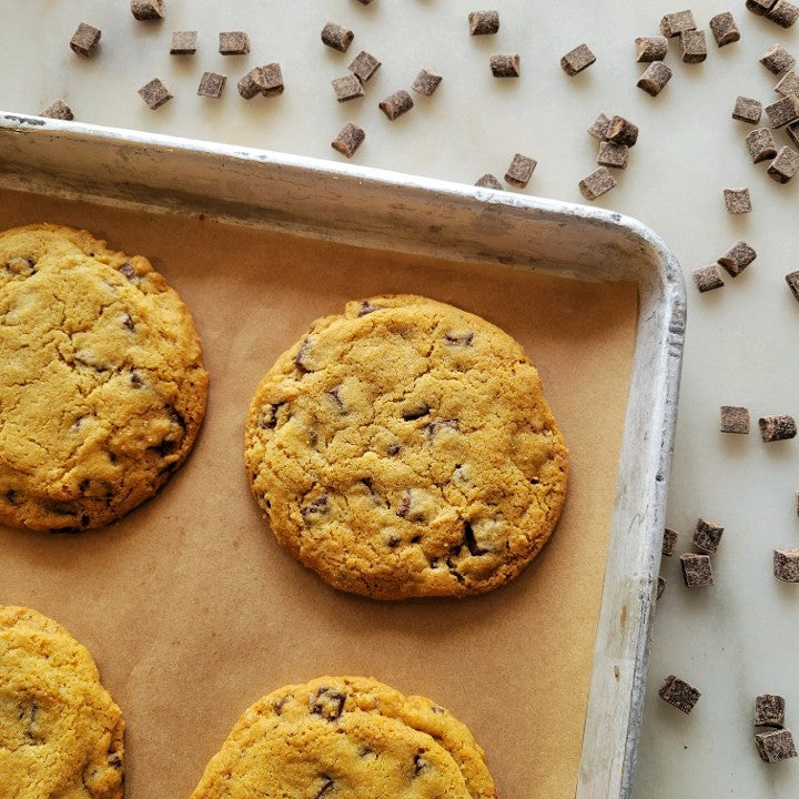 Chocolate Chip Cookie