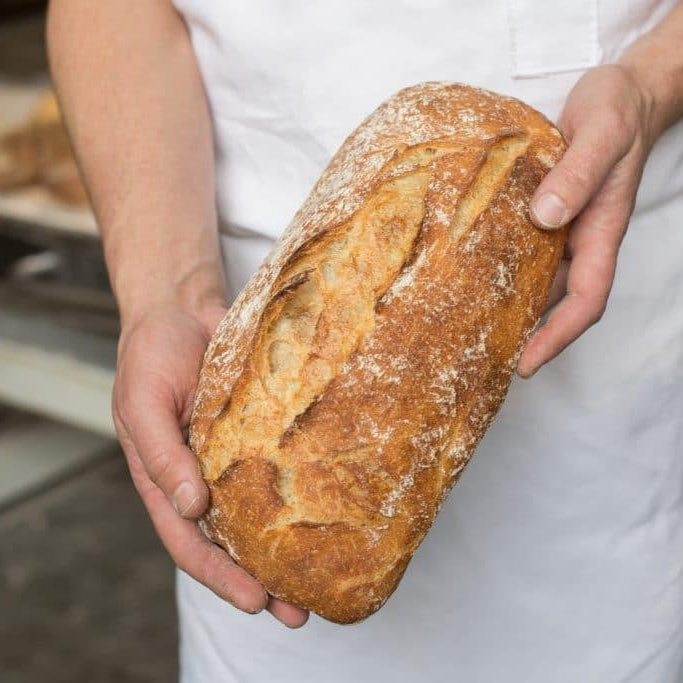 Ciabatta