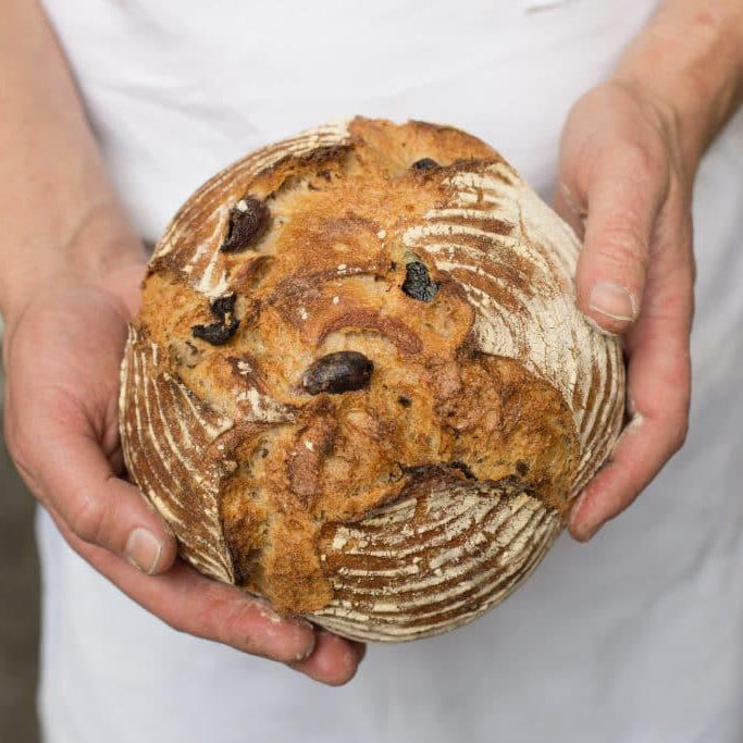 Olive Bread