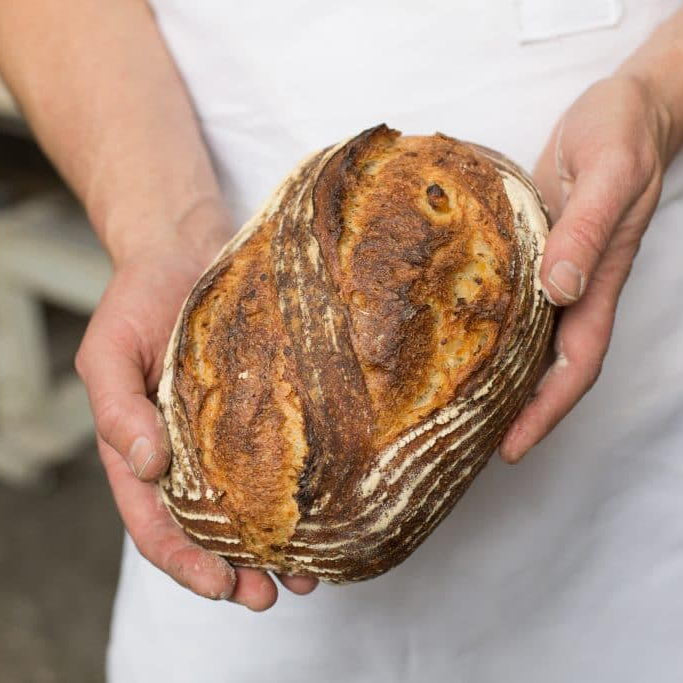Potato Bread