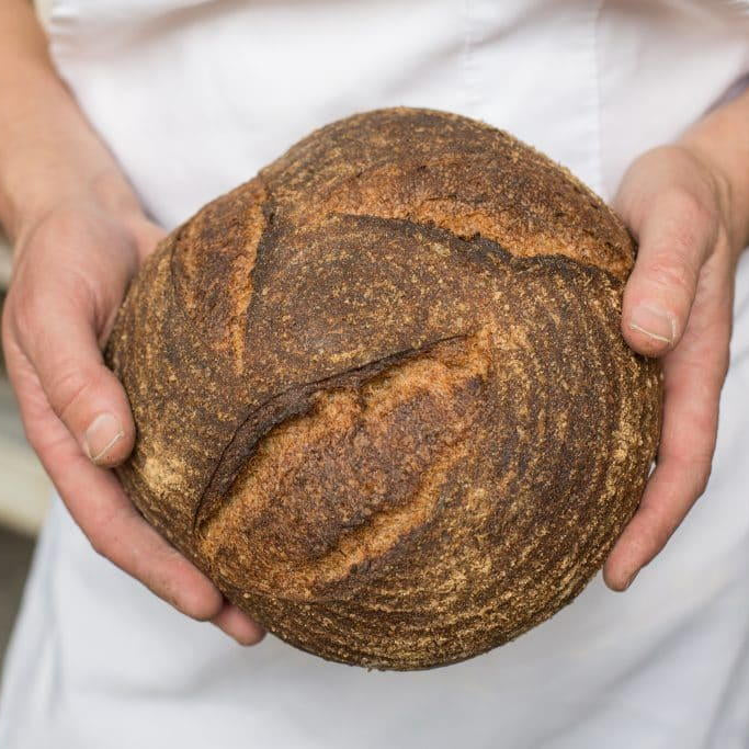 Whole Wheat Loaf