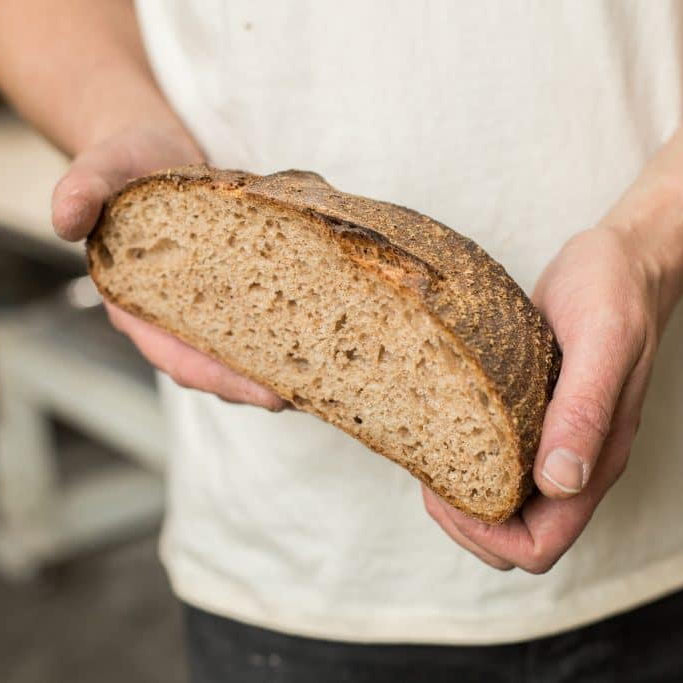 Whole Wheat Loaf
